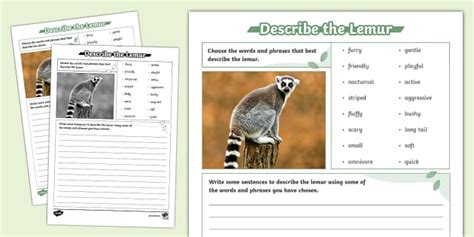 Describe the Lemur Worksheet