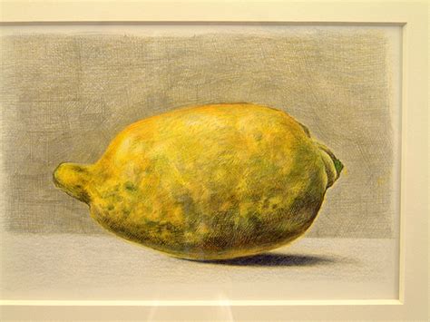 Image result for Lemon Shadow Drawing