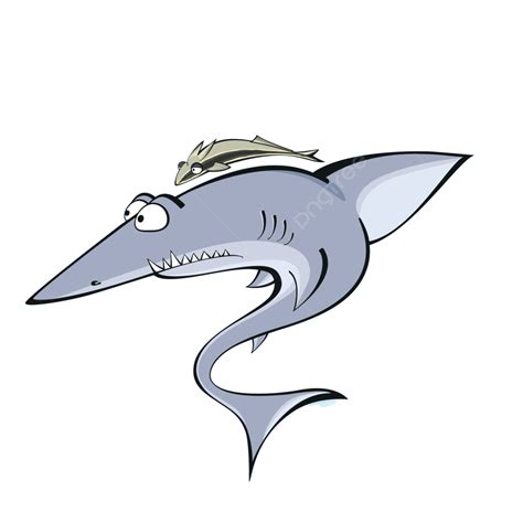 How To Draw A Remora Fish