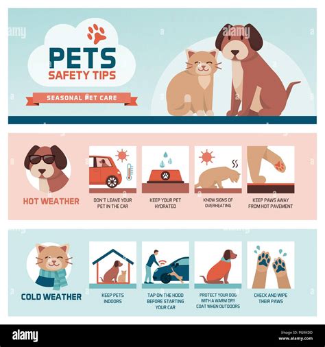 Icy Weather Safety Tips