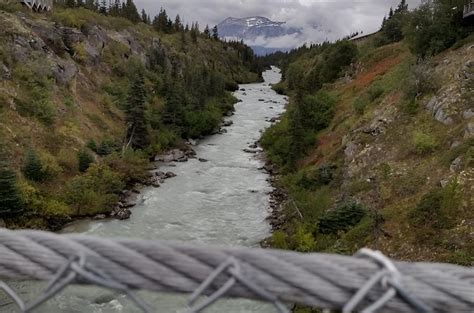 2026 Yukon Suspension Bridge Tour from Skagway (with Reviews)