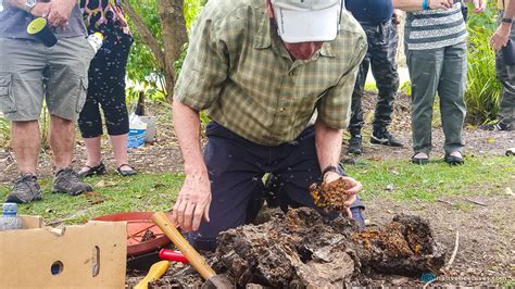 Image result for Tim Heard Native Bees