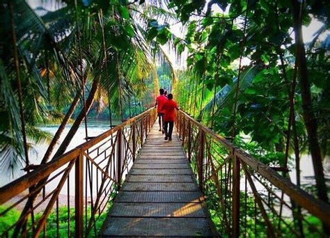 Cheroor Hanging Bridge Kasaragod - Hi Kasaragod Tourist Places