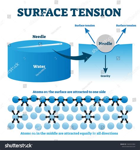 Surface Tension Of Water