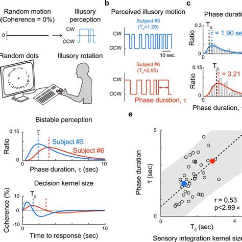 Image result for Human Vision Field of View