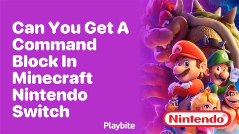 Image result for Minecraft Command Block Nintendo Switch