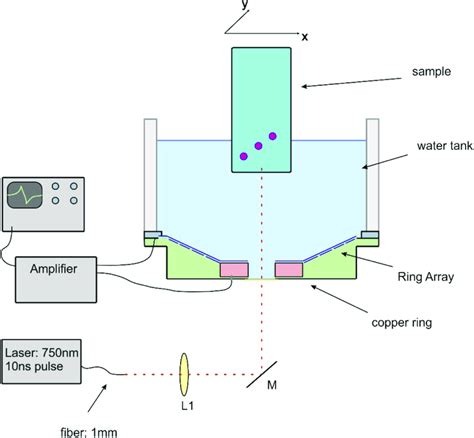 Sensor Array 的图像结果