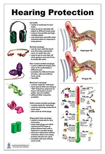 Buy Blue Tree Publishing Inc., Hearing, Hearing Protection and Ear ...