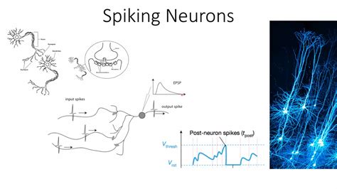 Spiking Neural Networks- A new concept in Neural Networks