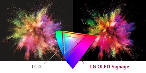Image result for LG OLED Color Problems