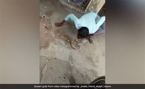सांप को कर रहा था Kiss, अचानक सांप ने शख्स के मुंह पर किया अटैक, चीख ...