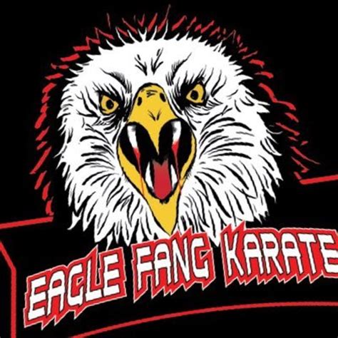 Kids Eagle Fang Karate HD wallpaper | Pxfuel