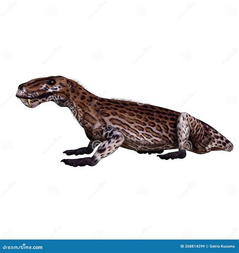 Lycaenops Isolated Dinosaur 3d Render Stock Image - Illustration of reptile, history: 268814299
