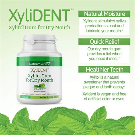 Nature'sStance XyliDENT Xylitol Gum for Dry Mouth Relief - India | Ubuy