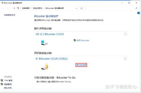BitLocker Driver 的图像结果