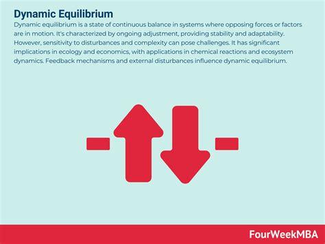 Image result for Dynamic Equilibrium Graph