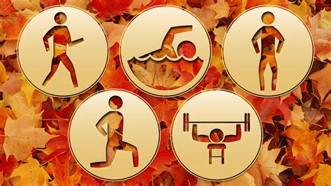 Image result for Free Fall Exercises