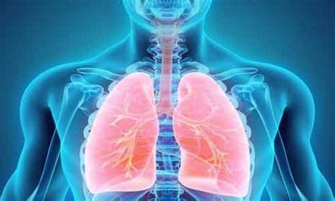 Neutrophils to lymphocytes and platelets ratio accurately predicts ...