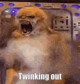 Tweaking Windows Repair Pro Full Version 的图像结果