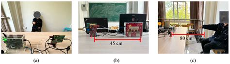 A Low-Complexity Hand Gesture Recognition Framework via Dual mmWave ...