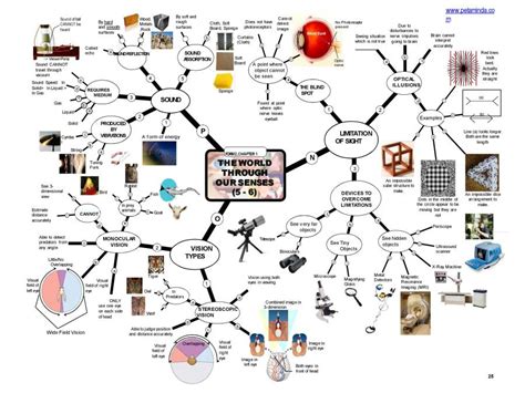 Image result for Science Form 2 Chapter 3