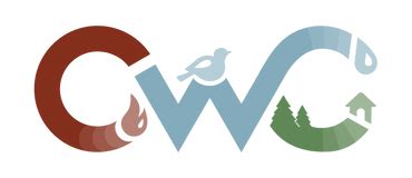 Image result for CWC Groups