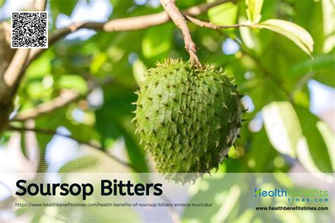 Health benefits of Soursop Bitters (Annona muricata) - Health Benefits