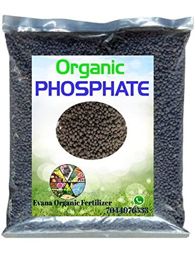 Evana Organic Fertilizer Organic Super Phosphate Manure for Home Plants ...
