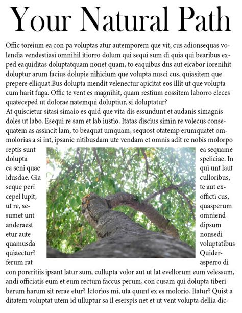 Image result for InDesign Assignment