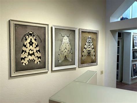 To the dark and the endless skies | Meer