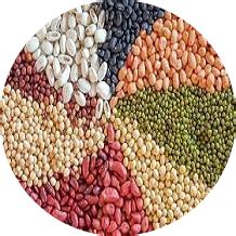 SAI BABA INDUSTRY- Manufacturer of Hulled Sesame Seeds, White Sesame ...
