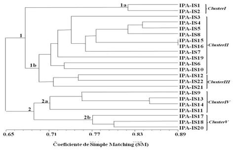 Journal of Applied Biology and Biotechnology
