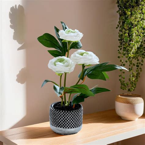 Buy UMAI 30cm White Bloom Artificial Plant - Stylish Decor – GlobalBees ...