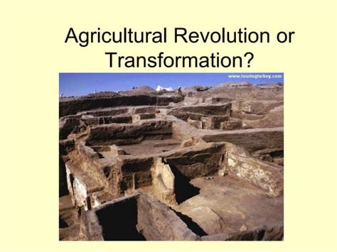 Image result for Agricultural Involution