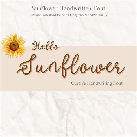 Sunflower Font - Handwritten Signature Script Font, Cursive Font, Chic ...