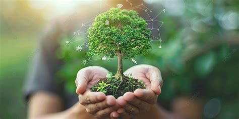 Environment Setting 的图像结果