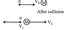 An alpha-particle of mass m suffers one-dimensional elastic collision ...