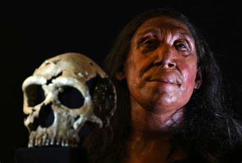 What was the Neanderthal diet like?