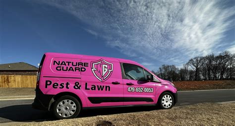 Do Fruit Flies Bite? Arkansas Pest Control from Nature Guard