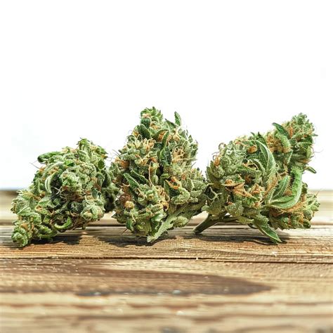 Space Center Strain - Versatile Hybrid