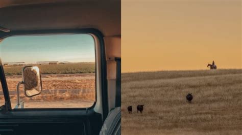 Image result for Field Beef Processing