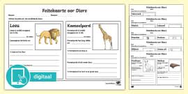 My Dier en Sy Habitat - Aktiwiteit (teacher made) - Twinkl