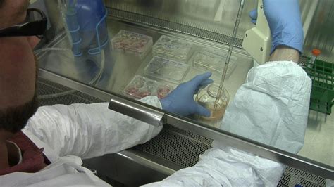 Image result for Lab Tech Support Training