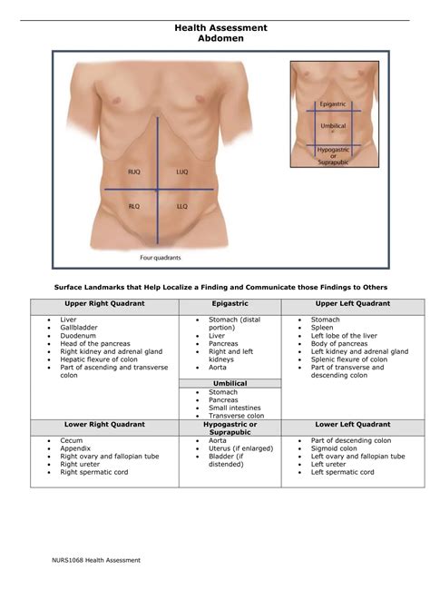 Summary abdomen assessment overview - Health Assessment - Stuvia US