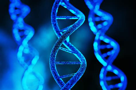 Image result for Genetics Algorithm Define