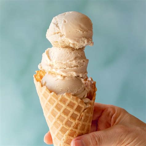 25 Best Vegan Ice Cream Recipes - The Endless Appetite