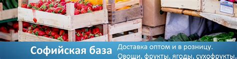 Софийская и Калининская базы СПб | Софийская база занимается оптовой ...