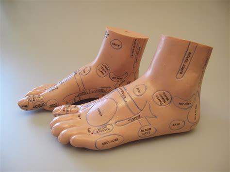 Reflexology Foot Model (Pair) - AcuMedic Shop