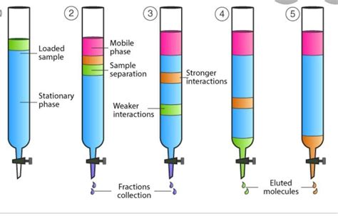 what is column chromatography? explain with a diagram - Brainly.in