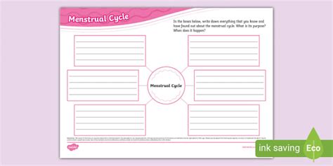 Menstrual Cycle Mind Map